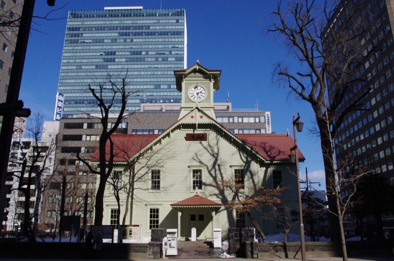 北海道は車なしだときつい？旅行前に知るべき5つの現実