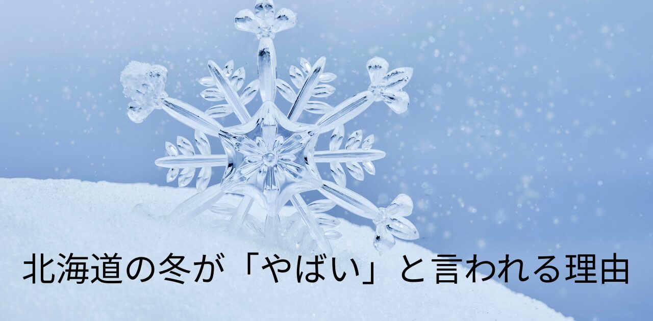 北海道　冬　やばい　初心者