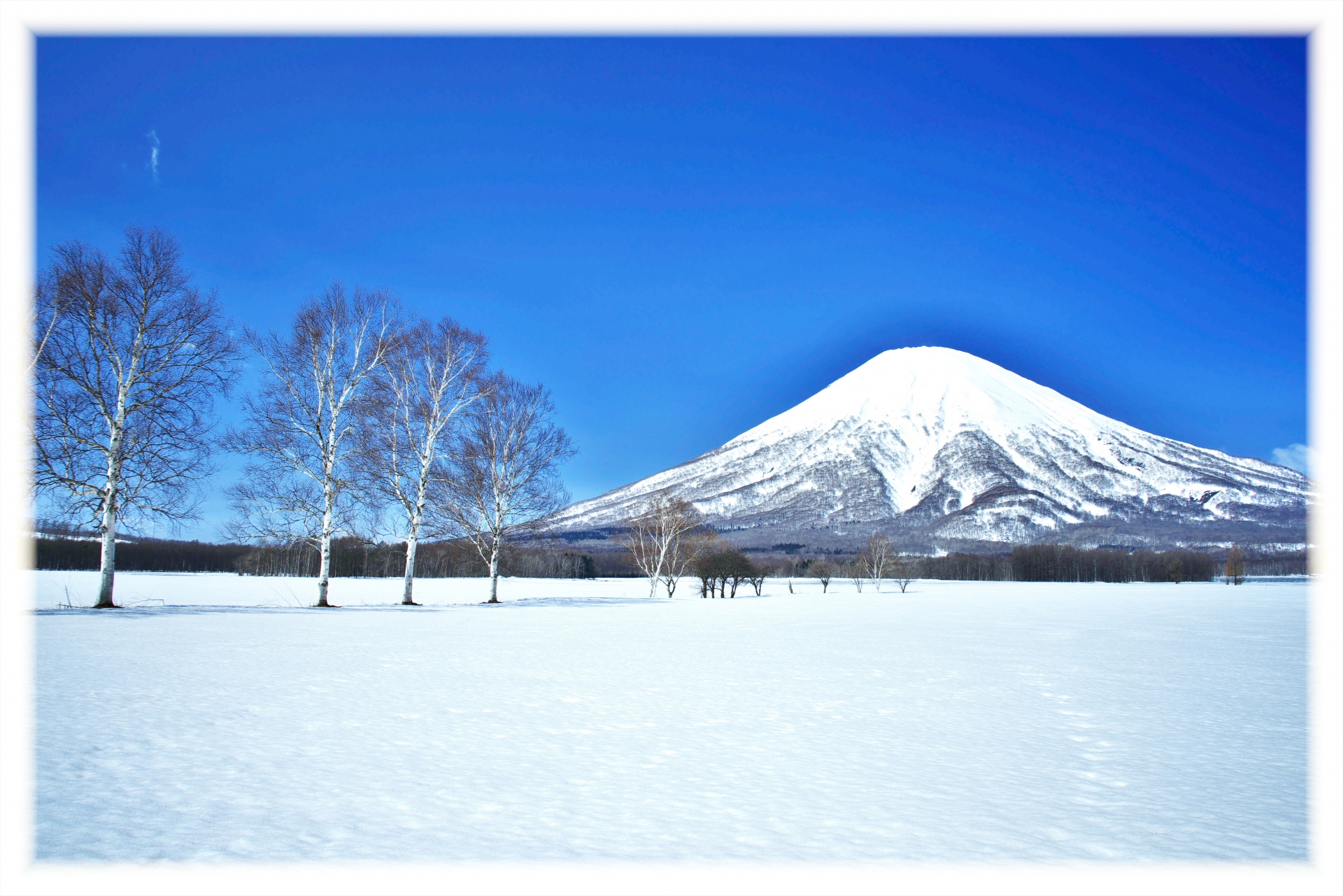 ニセコ　冬 楽しみ方　１０選　　絶景　アクティビティ完全ガイド